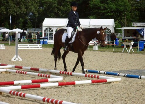 Freizeitpferdechampionat_-_Stangenlabyrinth