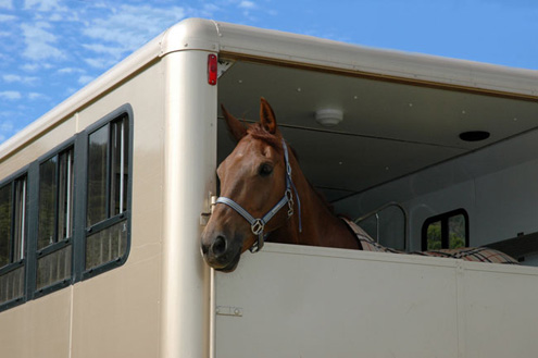 horseBox